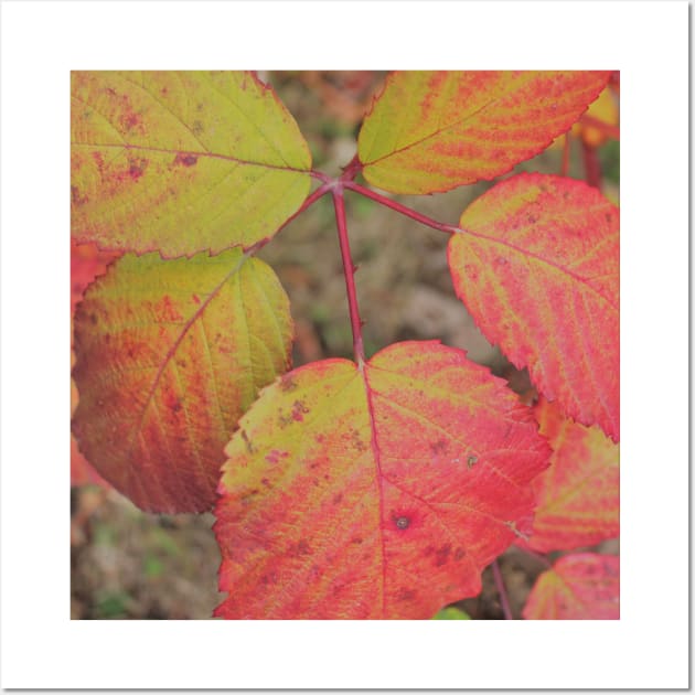 Colors of Autumn Wall Art by Tomiko KH Photography